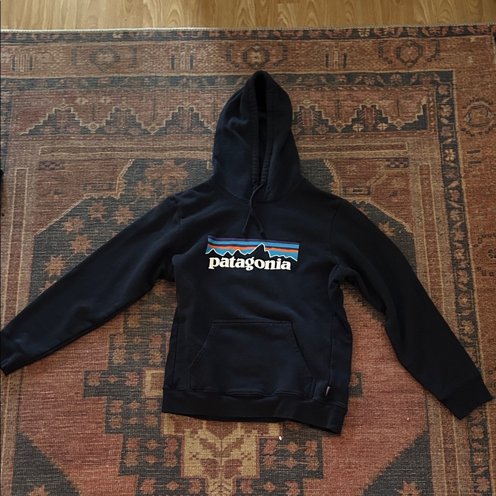 Patagonia Navy Hoodie Sweater for Men